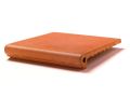 Nez de marche 33 x 33 x 5 cm - Carrelage grs tir - type grs d'artois - gres aragon - klinker buchtal