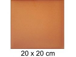 Natural 20 x 20 cm - Uitgerekte zandsteentegel - Type GrÃ¨s d'Artois - Gres Aragon - Klinker Buchtal