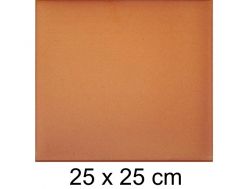 Natural 25 x 25 cm - Carrelage grès étiré - Type Grès d'Artois - Gres Aragon - Klinker Buchtal