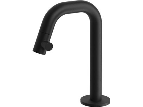 Robinet WC noir avec eau chaude et froide