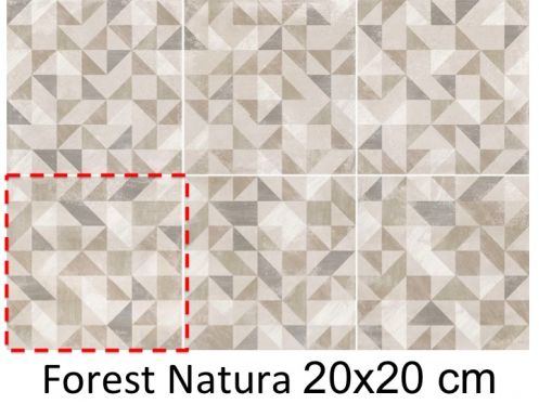 Forest Natura 20x20 cm - Carrelage sol, finition vieilli