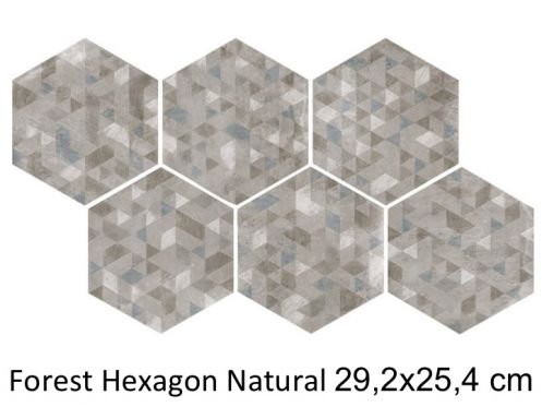 Forest Hexagon Silver 29,2 x 25,4 cm - Carrelage sol, hexagonal, finition vieilli