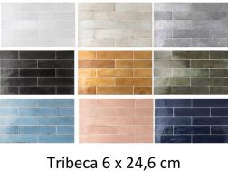 Tribeca 6 x 24,6 cm - Carrelage mural brillant