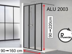 Vaste wand, zwart aluminium profiel - ATELIER ALU 2003