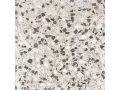 FS OFELIA 45x45 cm - Carrelage  l'aspect ancien.