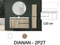 Ensemble Meuble __plus__ vasque __plus__ miroir - DINAN 2P2V