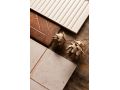 FS FOREST 45x45 - Carrelage  l'aspect bois ancien