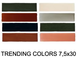 TRENDING COLORS 7,5X30 cm - Carrelage mural, design